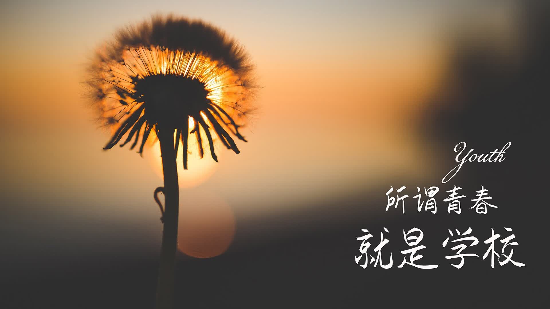 钢材当日价格行情（今天钢材价格查询）